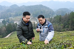 湖北日报全媒体专访 | 留学归来，将贡茶卖给“茶颜悦色”！