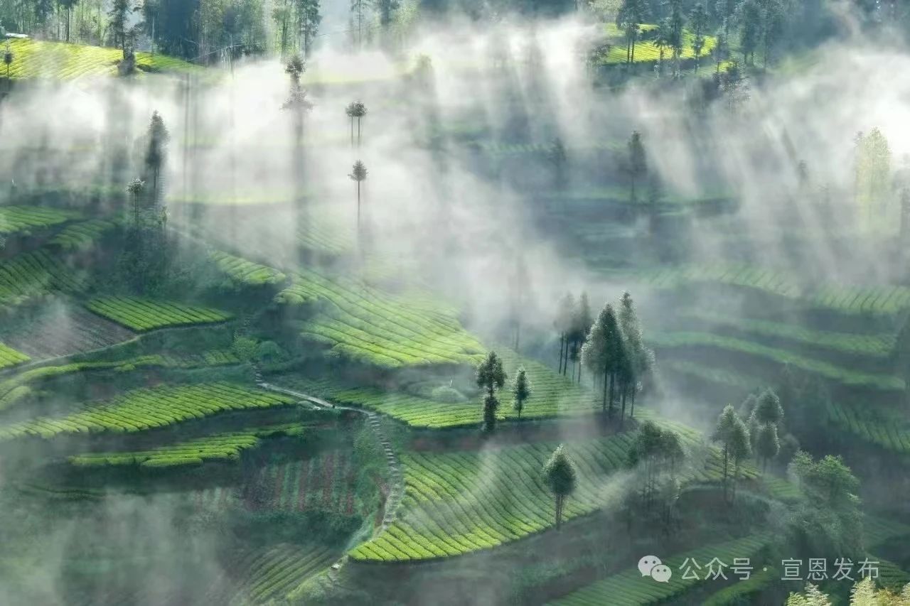 1754903490429750.jpg 微信图片_20250811170701.jpg